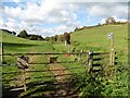 Bridleway to Coombe Farm