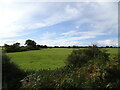 SO8694 : Wombourne Field by Gordon Griffiths