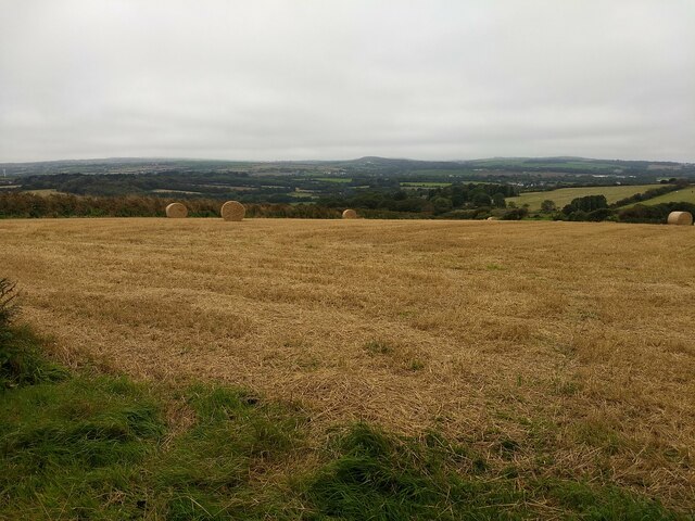 Fields near Porthcollum