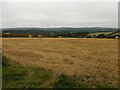 Fields near Porthcollum