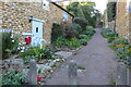 Flower borders on Middle Hill