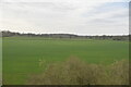 Farmland landscape