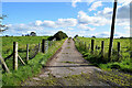 Lane to farm Dromore Middle