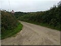 The bridleway joins Countess Bridge Lane