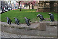 Penguins outside Steeple Church, Dundee