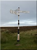 NT6064 : Direction Sign – Signpost by J Riddell