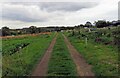 Shepshed Road Allotments access track