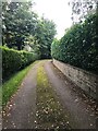 Lane approaching Wardsend Old Farm