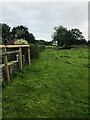 Footpath running along Eastern Edge of Wardsend Old Farm