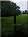 SJ9281 : Farmland off Skellorn Green Lane by Philip Cornwall