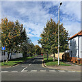 Brackyn Road in early autumn