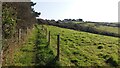 Path heading to Poole Lane