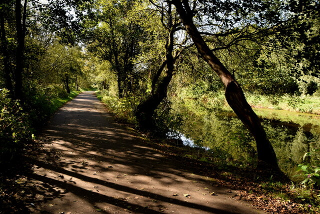 Shady Along The Highway To Health Path © Kenneth Allen Cc By Sa20