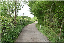 TQ5740 : Track to Smockham Farm by N Chadwick
