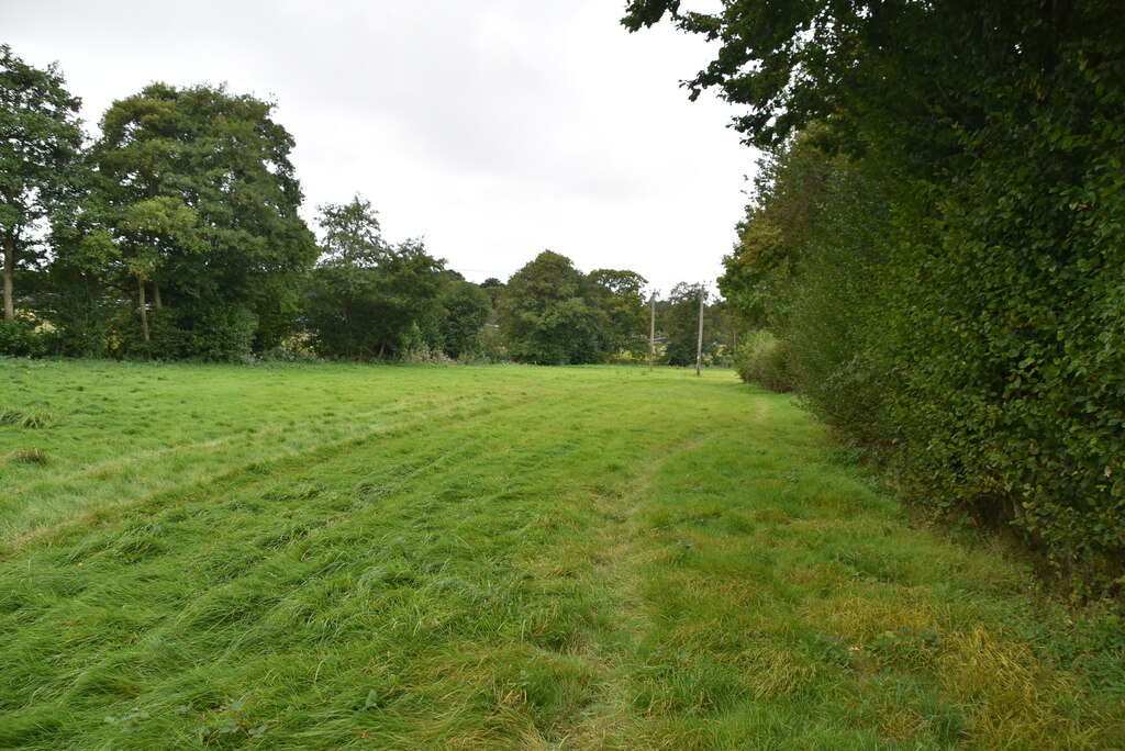 Grassy path © N Chadwick :: Geograph Britain and Ireland