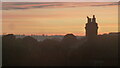 Bird looking at the sunrise over Leominster