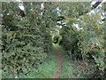 Bridleway to Orlingbury