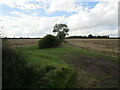 Stubble fields near Red Lodge