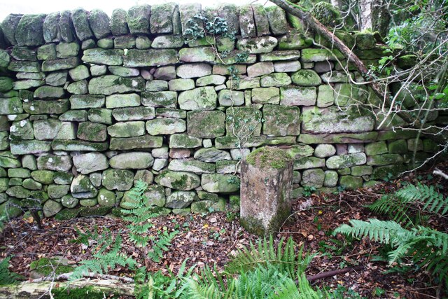 Boundary stone beside track on the SW side of Whamthorn Plantation