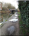 Plagued by puddles, Grand Union Canal towpath, Leamington