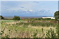 View over wetland toward the Bristol Channel