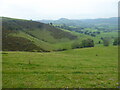 Hillside on the eastern flanks of the Gyrn, Gyrn Moelfre near Llansilin