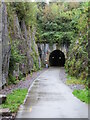 Deep cutting and tunnel at Tregarth