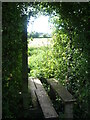 Footbridge over Low Ham Rhyne