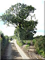 Titterton Cross