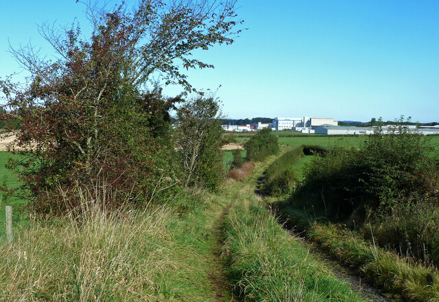 Farm track near Dundonald
