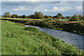 ST4442 : River Brue near Westhay by David Martin