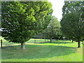 Avenue from the church, Throckmorton