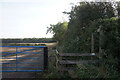 Public right of way towards Applegarth Manor Farm