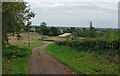 Hollies Lane at Lower Barns