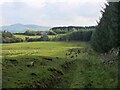 Sheep pasture and Camp Plantation