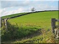 Farmland, East Boonraw