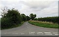 Road/Track towards Cowsden