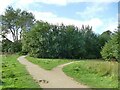 Path junction on the edge of Chevin Park