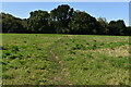 Path across field south of Lower Court Wood