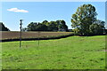 Fields at Higher Bullhill Farm