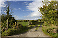 Green lane near Grafton Flyford