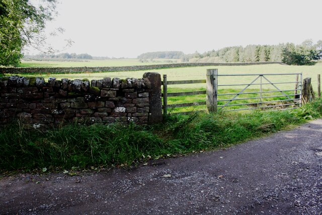 Field gateway on SW side of track to Edenhall Grange