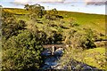 River Ribble