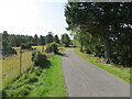 Fence and tree enclosed minor road near to Feith Mhor