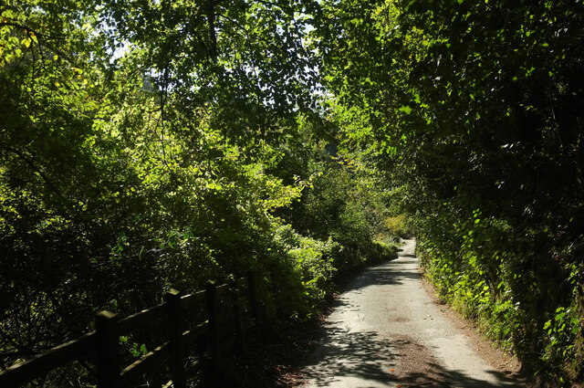 Dart Valley Trail approaching Old Mill Bridge