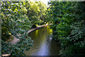 Copt Heath : Grand Union Canal