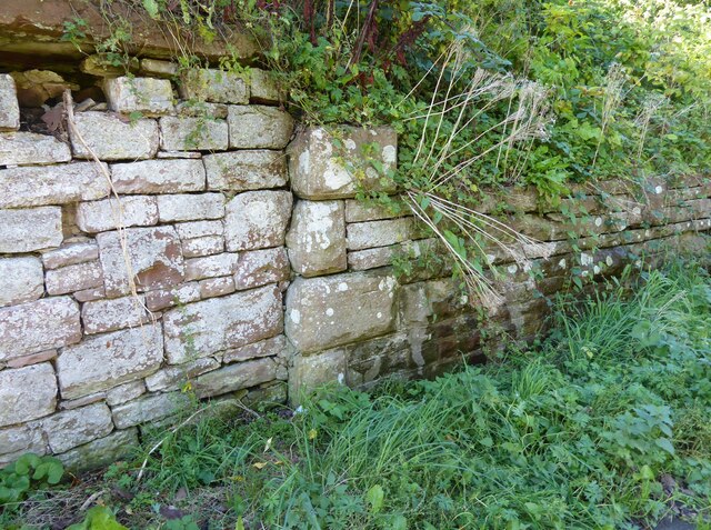 Stone quoins in roadside wall