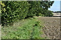SU2340 : Corner of field beside Long Walk Plantation by David Martin