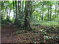 Boundary Stone, track, Upton St Leonards