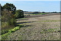 Field edge behind gardens above Idmiston